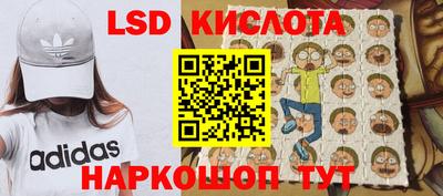 spice Отрадный